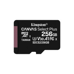 Kingston Technology 256GB