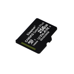 Kingston Technology 256GB