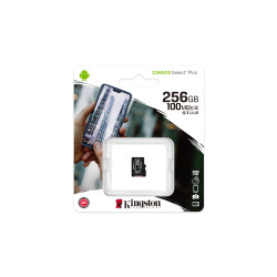 Kingston Technology 256GB