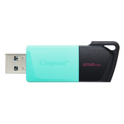 Kingston Technology DataTraveler Exodia M 256 GB, USB 3.2 Gen 1