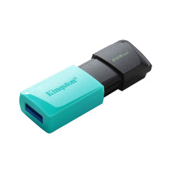 Kingston Technology DataTraveler Exodia M 256 GB, USB 3.2 Gen 1