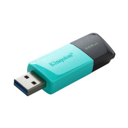 Kingston Technology DataTraveler Exodia M 256 GB, USB 3.2 Gen 1